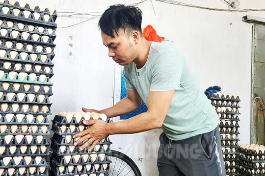 5 kế hoạch liên kết lĩnh vực chăn nuôi